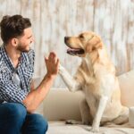 ¿La piscina es segura para sus mascotas?