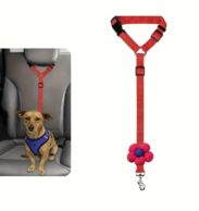 Perro usando cinturón de seguridad rojo en el asiento trasero del auto.