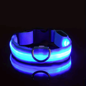 collar LED para perros recargable